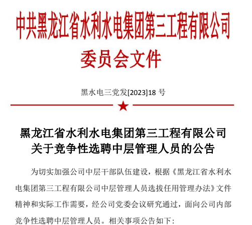 关于竞争性选聘中层管理人员的公告